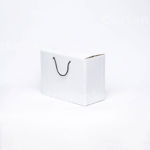 White Tasal Box by CartonMakerNG