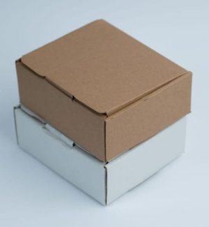 Mono Mailer Box By CartonMakerNG