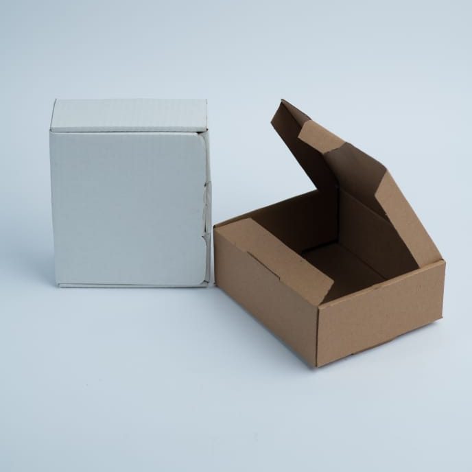 Mono Mailer Box By CartonMakerNG