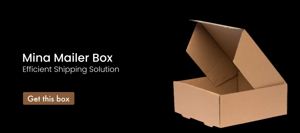 Get_a_Mina-Mailer-Box
