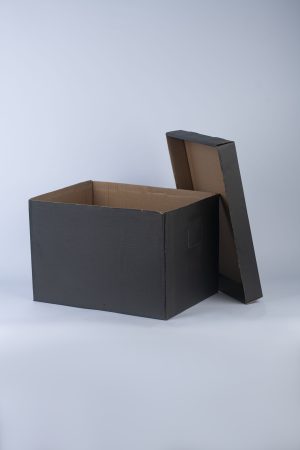 Archive Box By CartonMakerNG